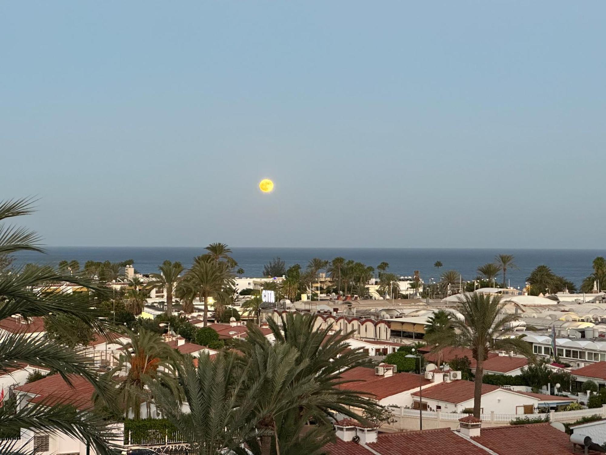 Apartamento Tamaran Sky Playa del Inglés Eksteriør bilde